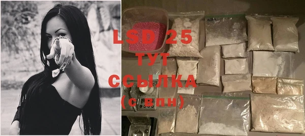 стаф Касимов