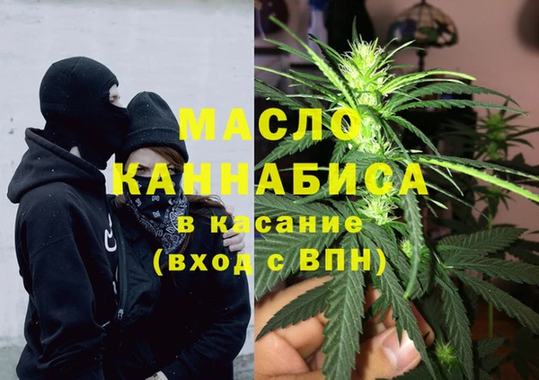 стаф Касимов
