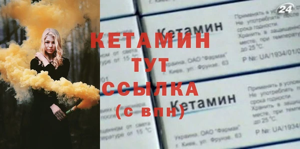 стаф Касимов