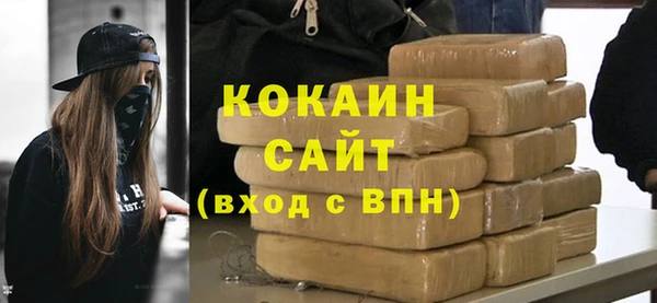 стаф Касимов