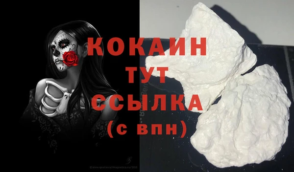 стаф Касимов