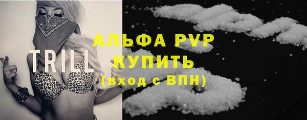 стаф Касимов
