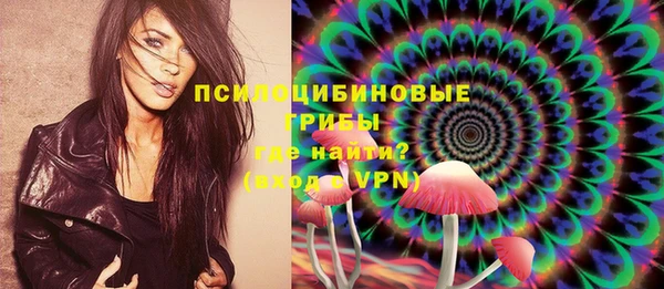 spice Карталы