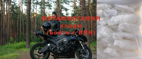 стаф Касимов