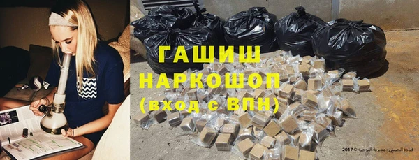 стаф Касимов