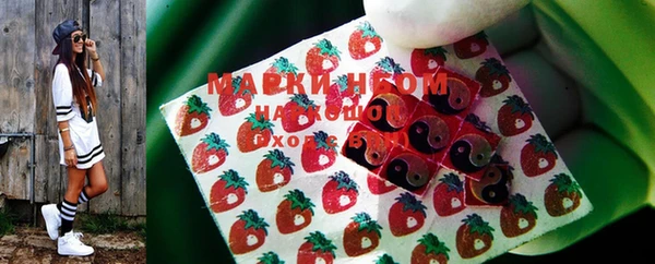 стаф Касимов