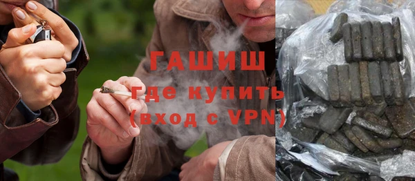стаф Касимов