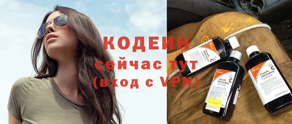 стаф Касимов