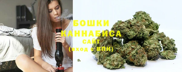 стаф Касимов
