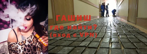 стаф Касимов