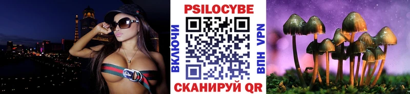 Псилоцибиновые грибы Psilocybe  Купить где  Большой Камень 